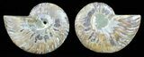 Polished Ammonite Pair - Agatized #59435-1